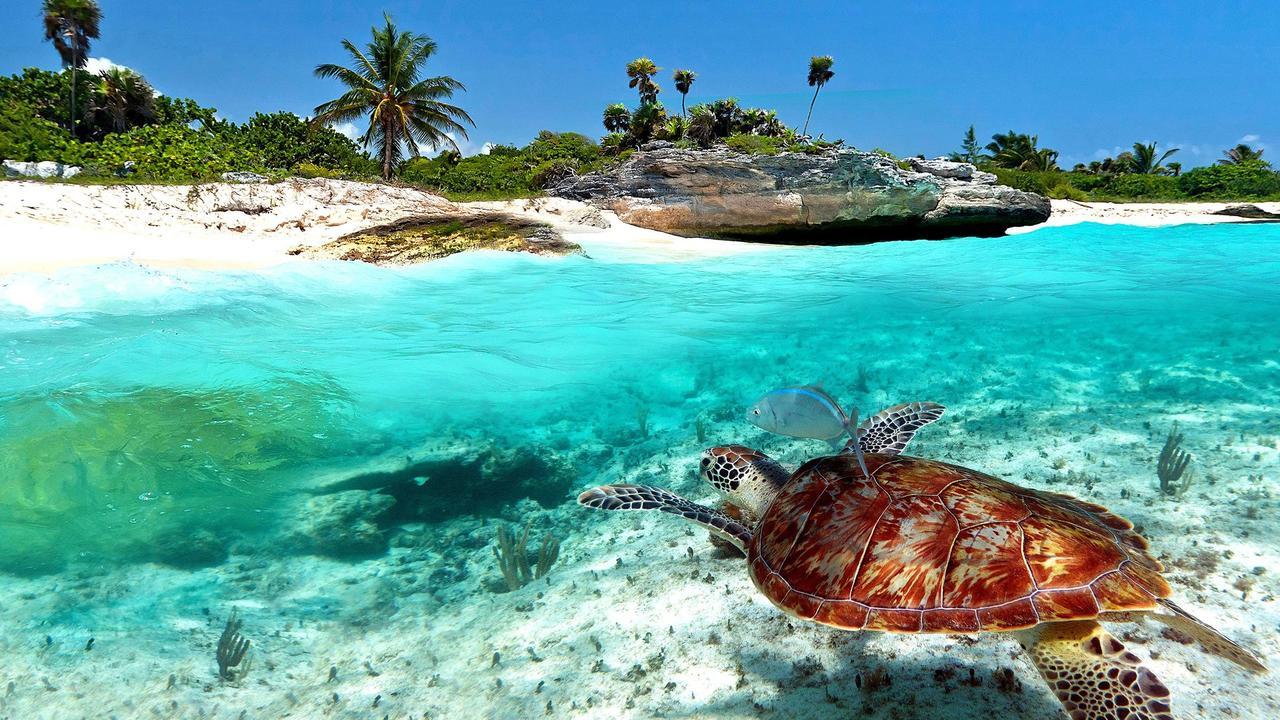 Naay Bej Otel Tulum Dış mekan fotoğraf