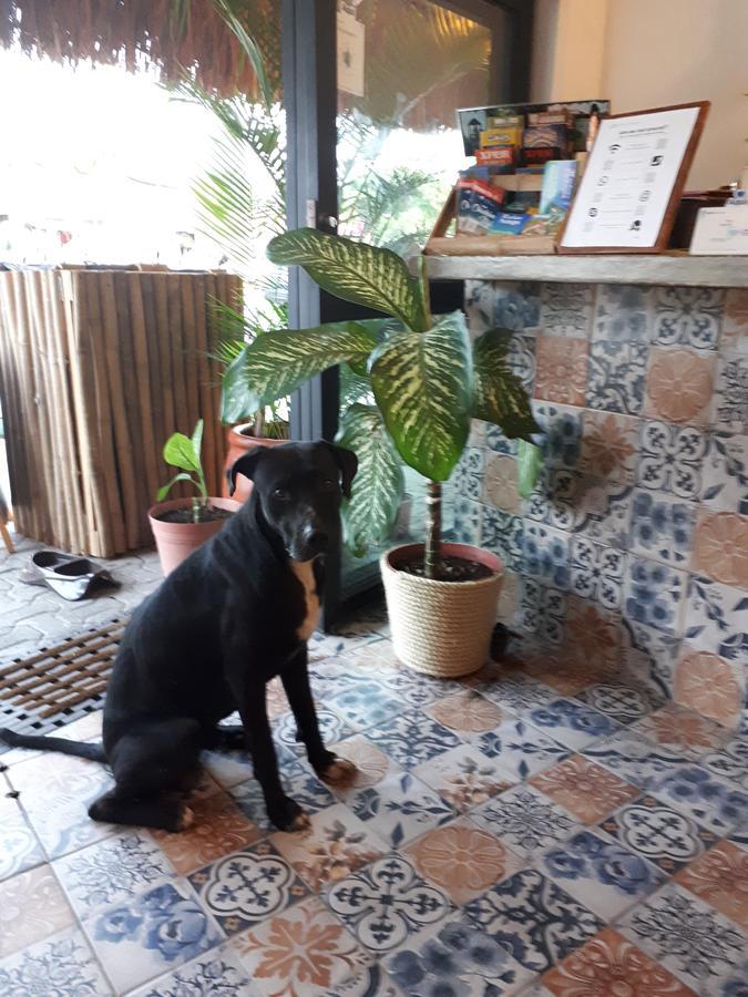 Naay Bej Otel Tulum Dış mekan fotoğraf